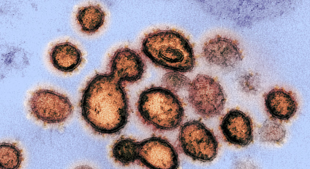 马里亚纳海沟 新冠病毒能被免疫？特殊体质实存在，科学家解释