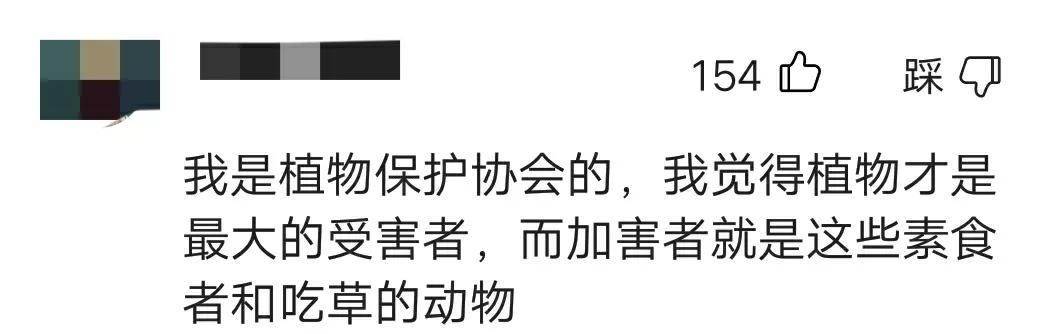 龚俊|果然，久未露面的张静初，出问题了，谢霆锋秦海璐的反应很真实