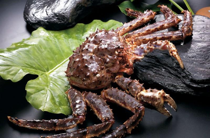  帝王蟹如果入侵全世界会出现什么后果？能否靠吃来“拯救世界”