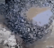 广州市 广州一足疗妹神似明星，硬是被网友给“宣传”关门了，网友吐槽笑死人