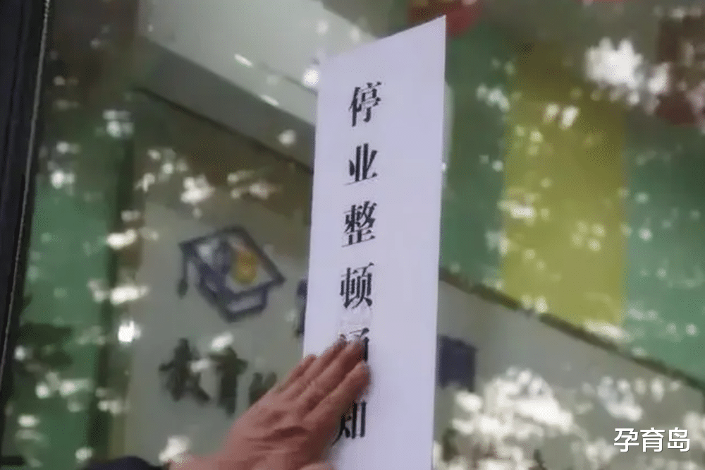 孕育岛|上有政策下有对策：“双减”后衍生出新型补课方式，家长呼声很高