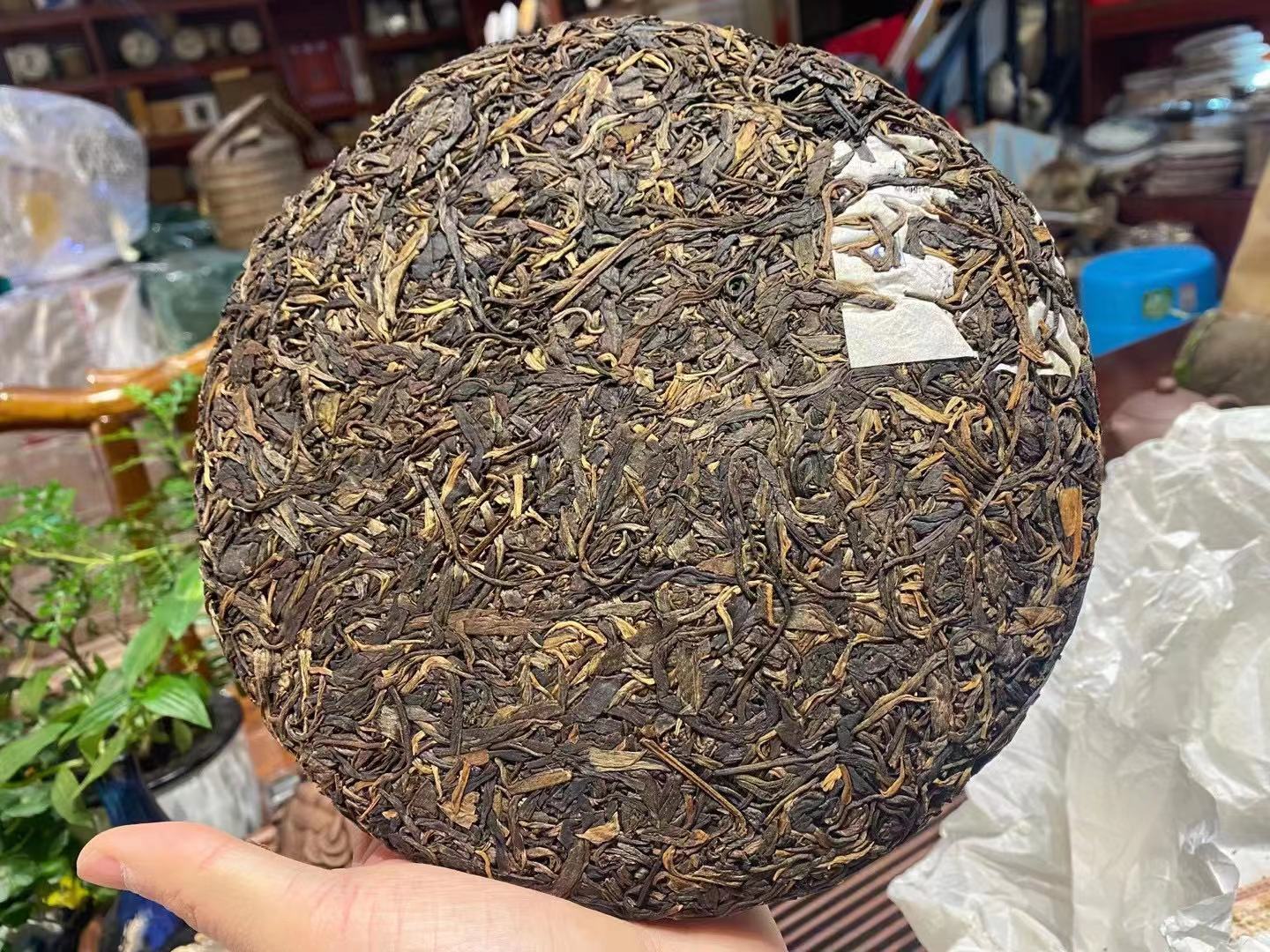 老李普洱茶|如何判断普洱熟茶与生茶及不同功效