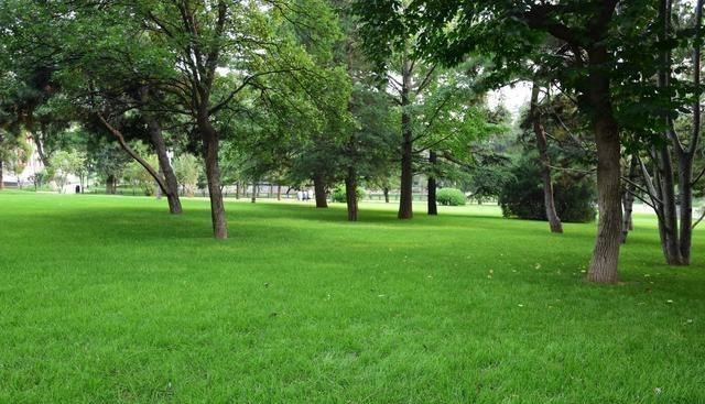 依科育儿吧|不输“985”:2所双非7所211获得国家三大奖中的一等奖!