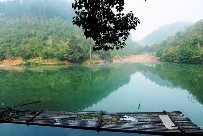 饵料|立夏了,试试这种钓鱼招,夏天大鲫鱼也可轻松钓!——盛世三渔