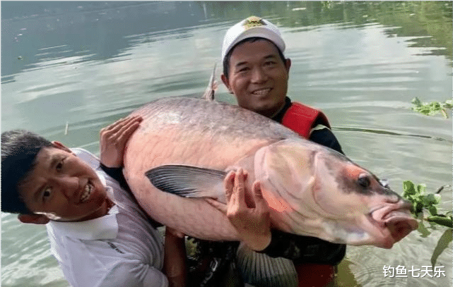 刘德华|被网友质疑靠刘德华“炒作”，钓王邓刚回应：你怎么不去炒
