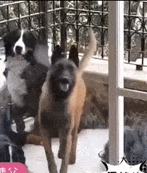 萌萌萌说|“小姨子有空就来帮我带孩子，我却高兴不起来！”我感觉目的不纯