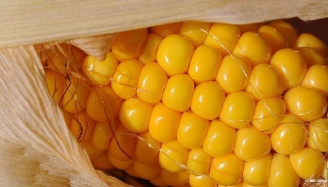 鲫鱼|水流冲走窝料咋办？这3种打窝方式，适合走水中打窝