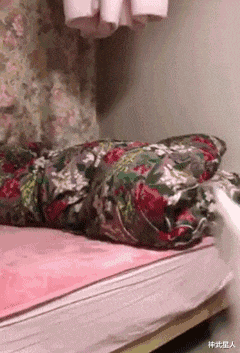 神武星人|“美女穿紧身裙的样子太霸道，都原形毕露了，好尴尬！”哈哈哈哈