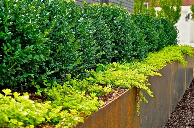 这个设计感十足,色彩斑斓的现代庭院,真漂亮!