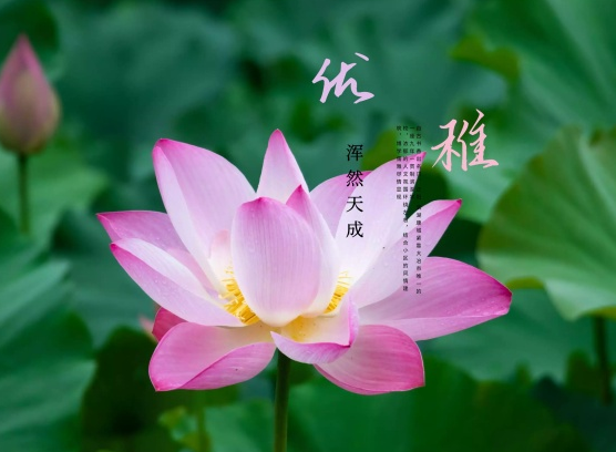 星临天下 10月28日开始，4属相贵人相助，财运亨通，生活蒸蒸日上