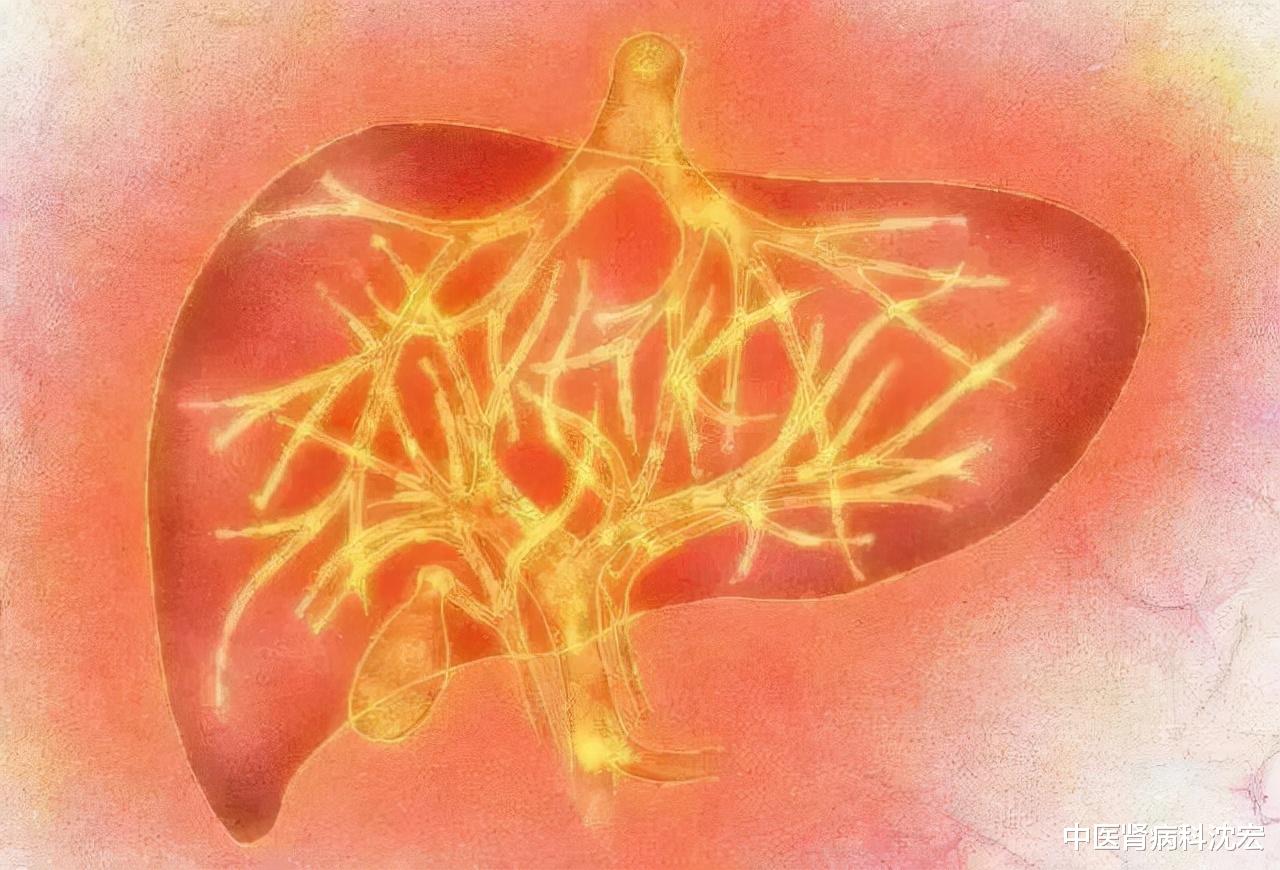衰老|肝火旺盛？解读中药—龙胆泻肝汤 助你清肝胆，利湿热