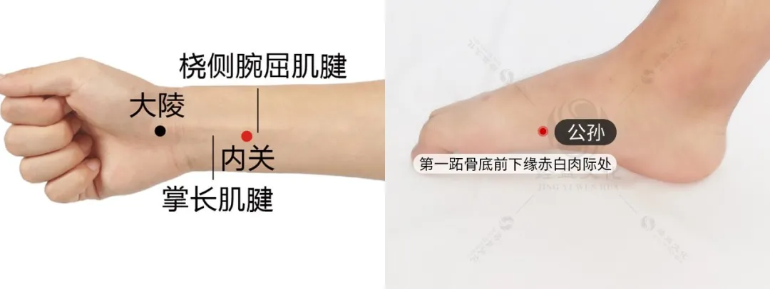 长寿|会用八脉交会穴，调病养生事半功倍！八脉交会穴实操分享，不看太可惜！