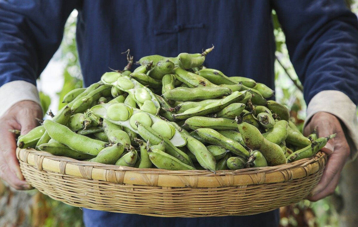 黑豆|秋天吃肉不如吃这5种豆！我家一周要吃5次，营养又滋补身体