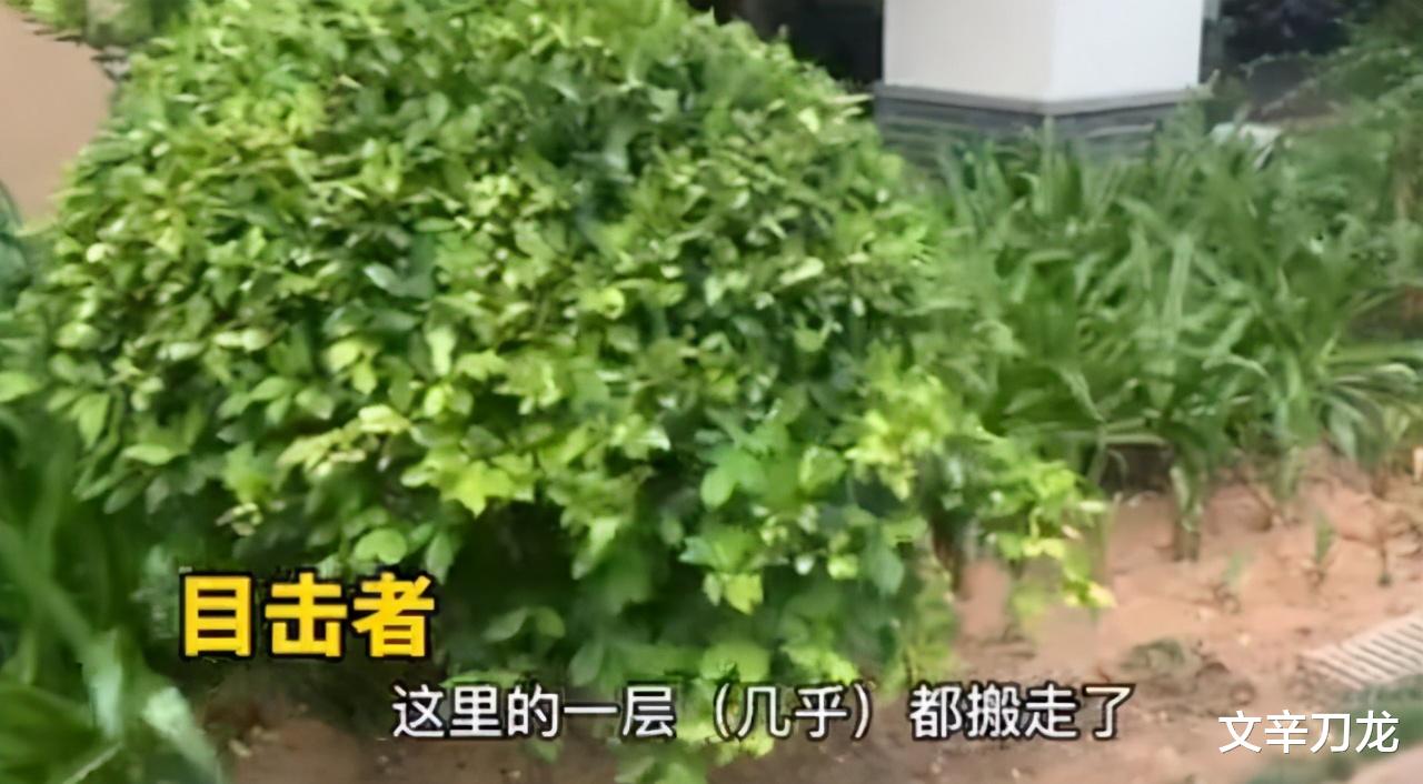 文辛刀龙 房内男子是关键！阳台外跳舞坠亡红衣女子火化，警方称案情无进展