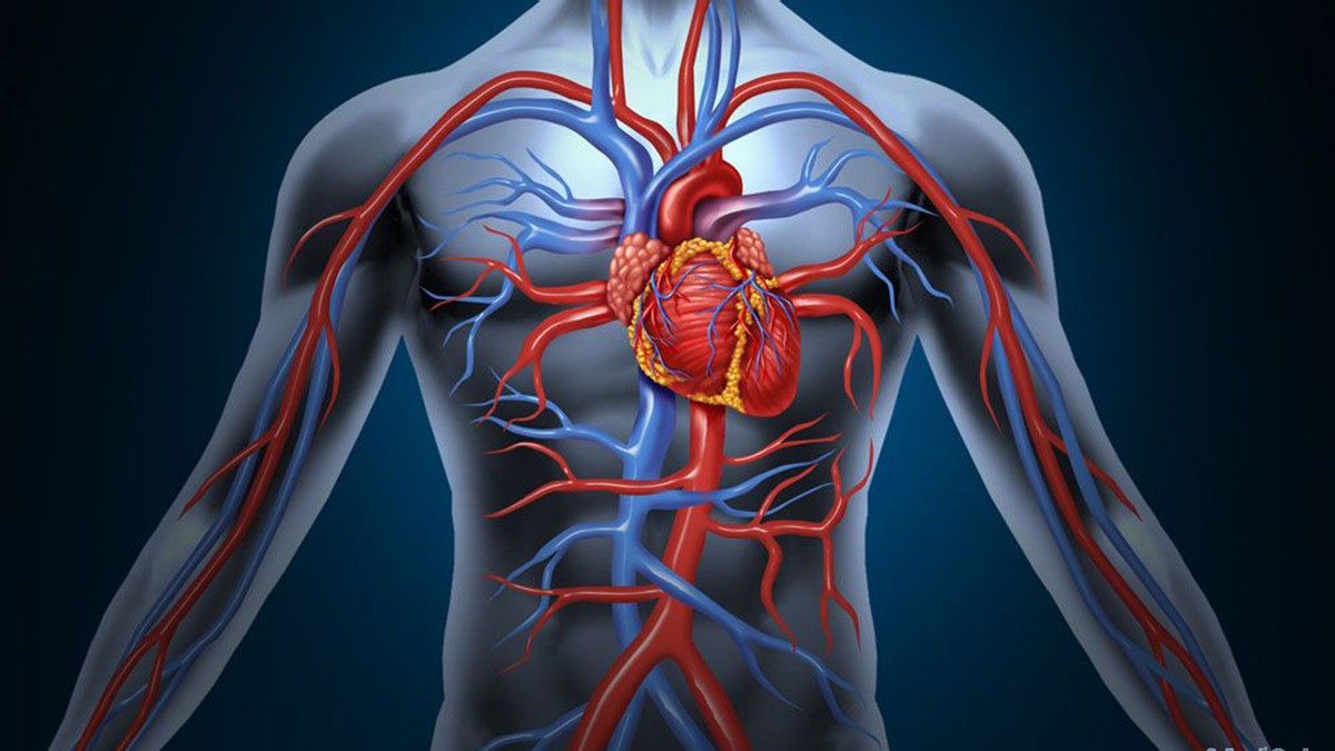 骨质疏松|血管“修复器”已公布，木耳未上榜，医生：常吃1物，血管干净如新