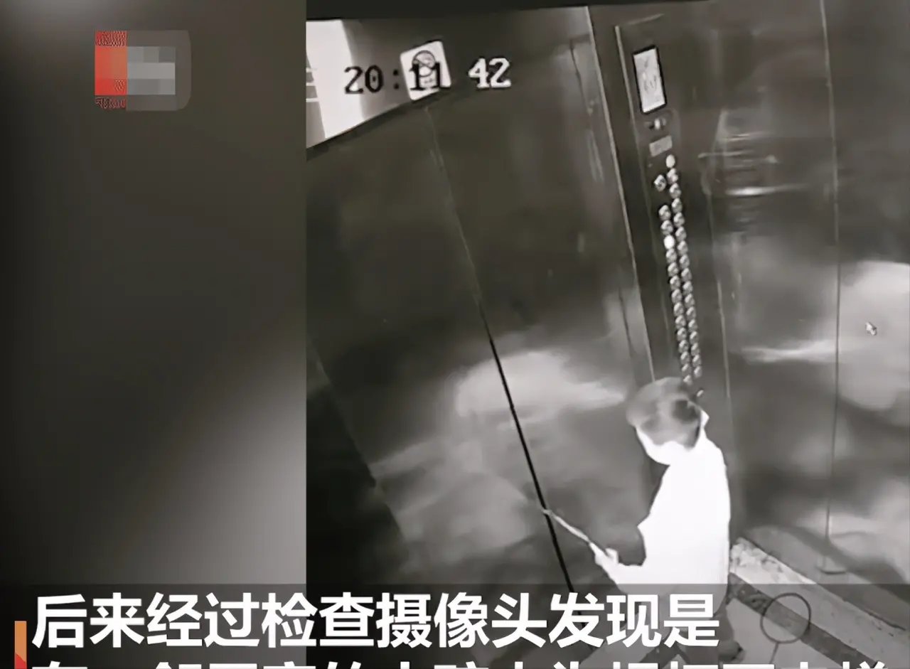 全球热闻 这样长大的孩子能健康吗？