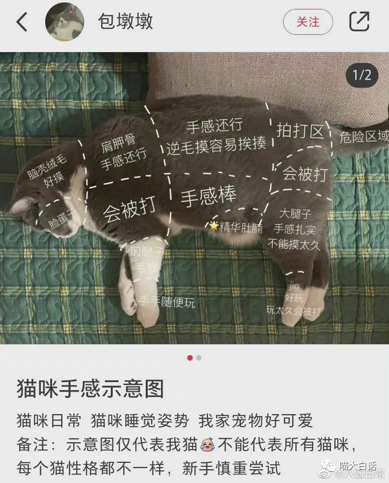 “千万别乱尝试新的装修风格！！！”网友亲身经历笑疯我！！