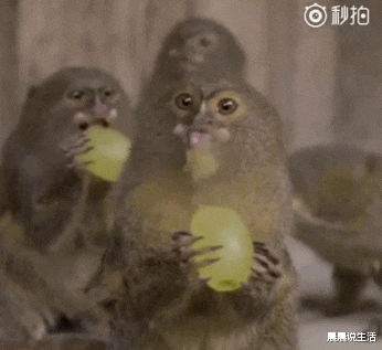 晨晨说生活 “女生们记住了,玩过山车的时候一定不要穿裙子”哈哈哈哈还好是模拟的!!