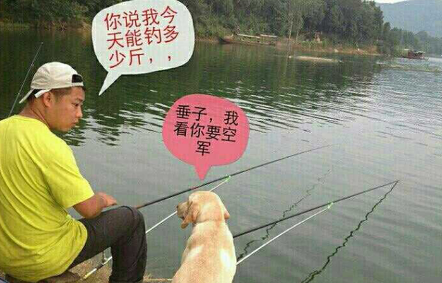 空军|这才是钓鱼佬的实战利器！游戏抓宠、现实钓鱼，绝不空军！