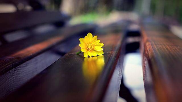 遇见小媛|一个人越来越有钱的4大迹象,越早明白越好