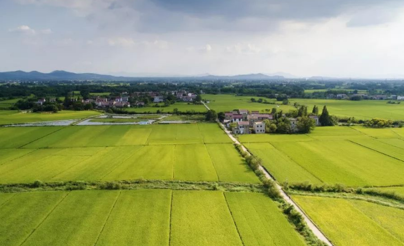 退休|退休之后,真正聪明的人,不会寻找存在感