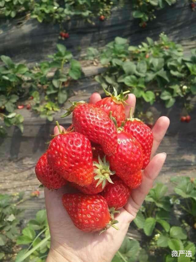 明星素颜 女性坚持这3个好习惯，就算不打水光针，素颜也会细腻自然且漂亮
