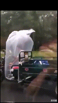 苏月瑾|“左边给你一亿,右边你要给她二十万,你会娶哪个?”