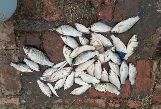 养生|外出钓鱼，选对饵料很关键，味型不对努力白费