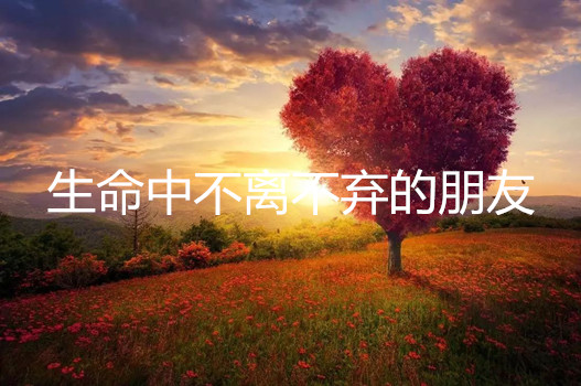 天音心理|新时代，心健康，阅读和分享《山湖纪人之心灵早餐》，让爱和阳光滋润每一颗心灵【总第2361期】