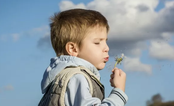 拓慧智元|提高孤独症儿童社交能力的小方法