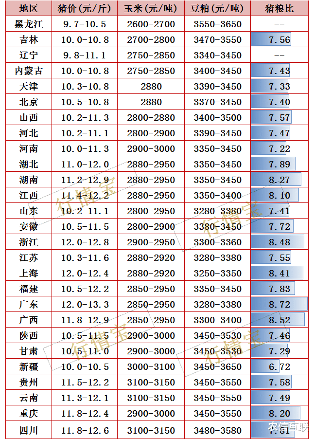 生猪价格 猪价暴跌40%，养殖户被坑惨！专家：下半年猪价这样走