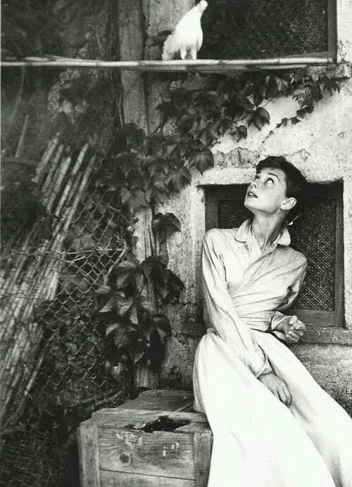 时尚风行派|想把普通衬衫穿出高级感？学会这几种方法，轻松get赫本同款优雅风