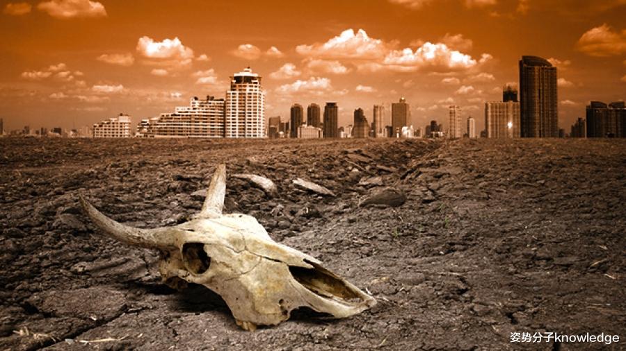 科学家|地球氧气会耗尽吗？外媒一篇文章引起热议，这是怎么回事？