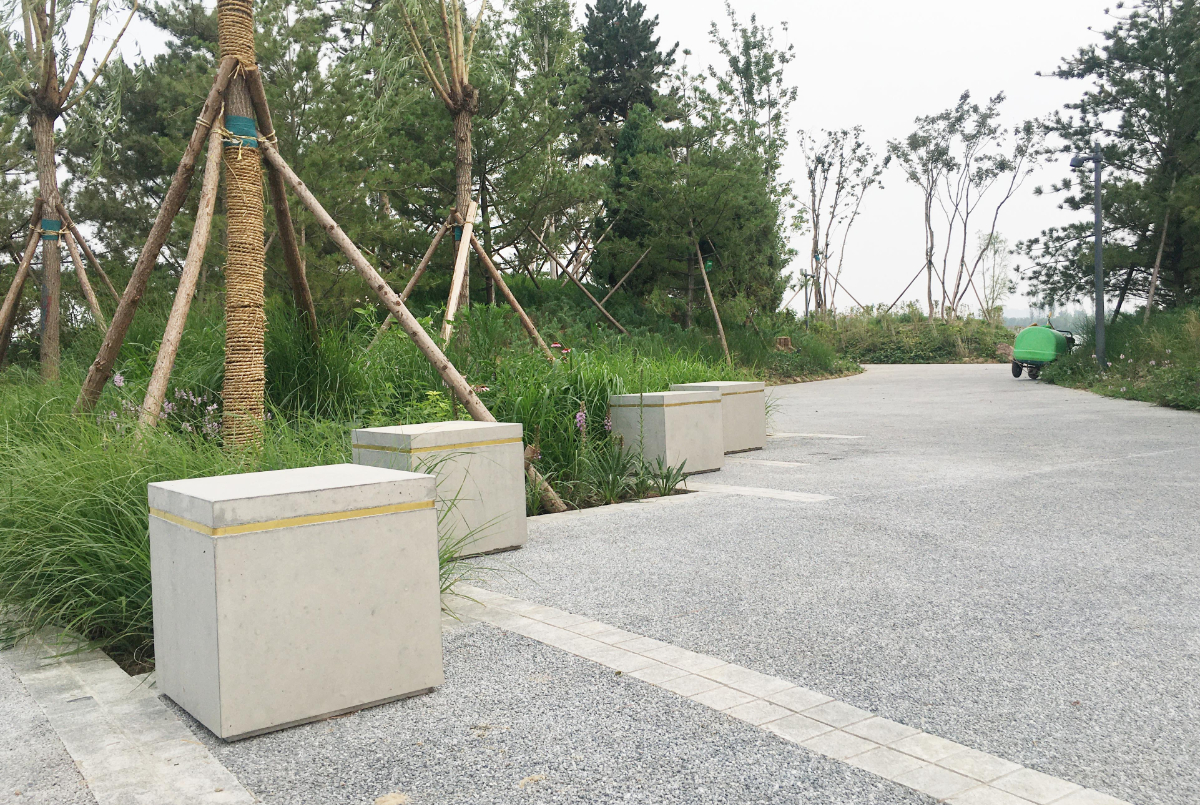 蓝宝清水|蓝宝清水 | 这个夏天，和温榆河公园有个约会