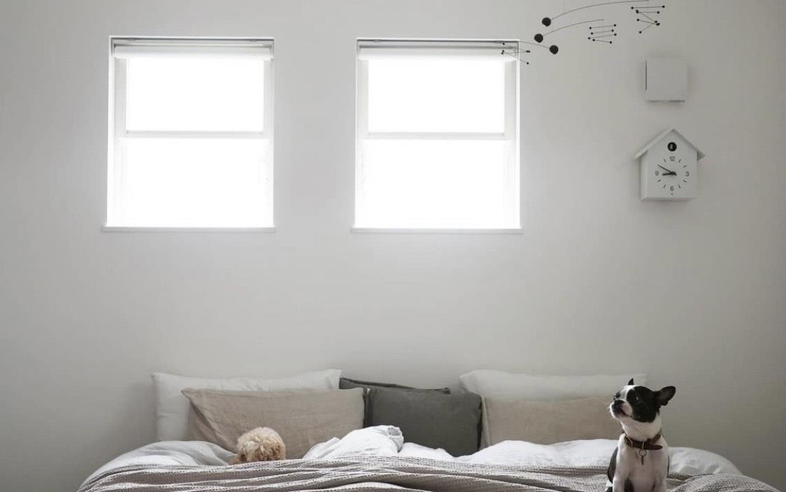 一个人的断舍离!小家坚持一日一清洁,一个人日子过得有滋有味!