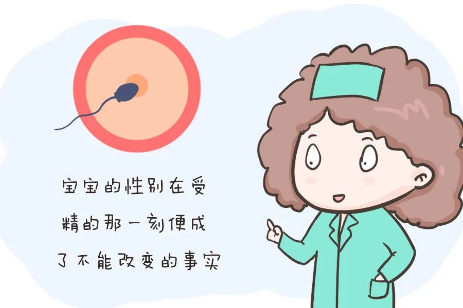 家属说|怀孕“女翻男”“男翻女”真的存在吗？来看看科学解释！