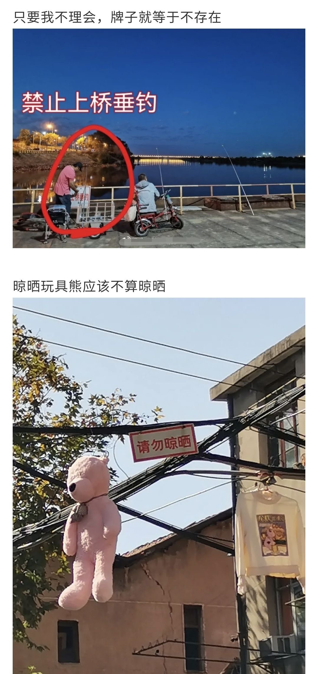 |人类叛逆行为图鉴，网友：这是在搞事情啊！
