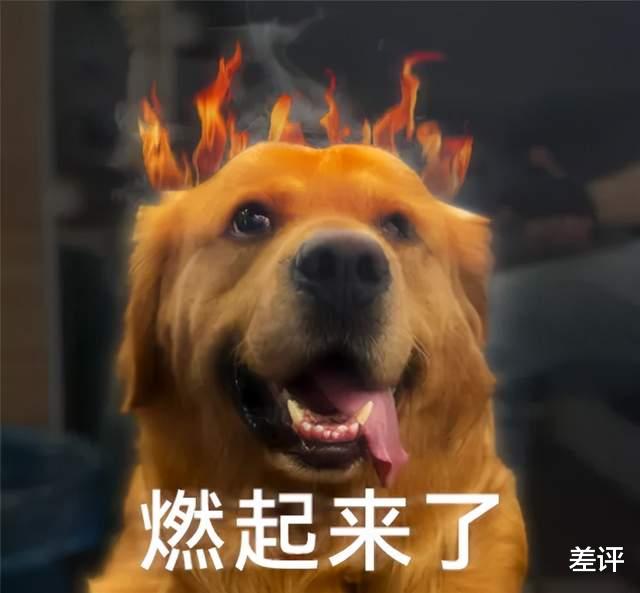 饭圈卷钱跑路的骗子们,给大家展示了啥叫一地鸡毛