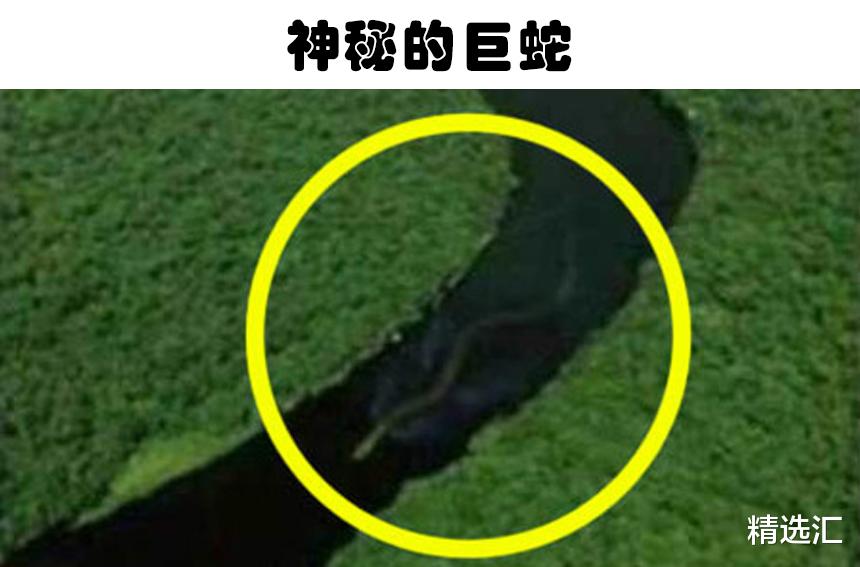 通过地图软件,世界各地的人们找到5个可疑的奇怪生物
