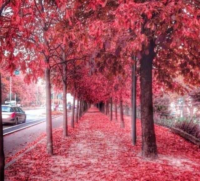 生态环境保卫者|第300场米兰德比,平局收场,暗藏玄机,恰球王弑旧主,判罚引争议