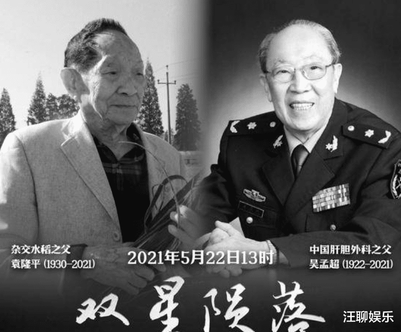 佟丽娅|袁老的离去，却成了明星刷数据的“战场”，肖战、杨紫均牵涉其中