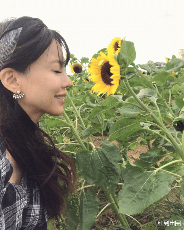 李靓蕾|李靓蕾豪门生活曝光太心酸，1件衣服连穿4年，戴假金假钻毫无怨言