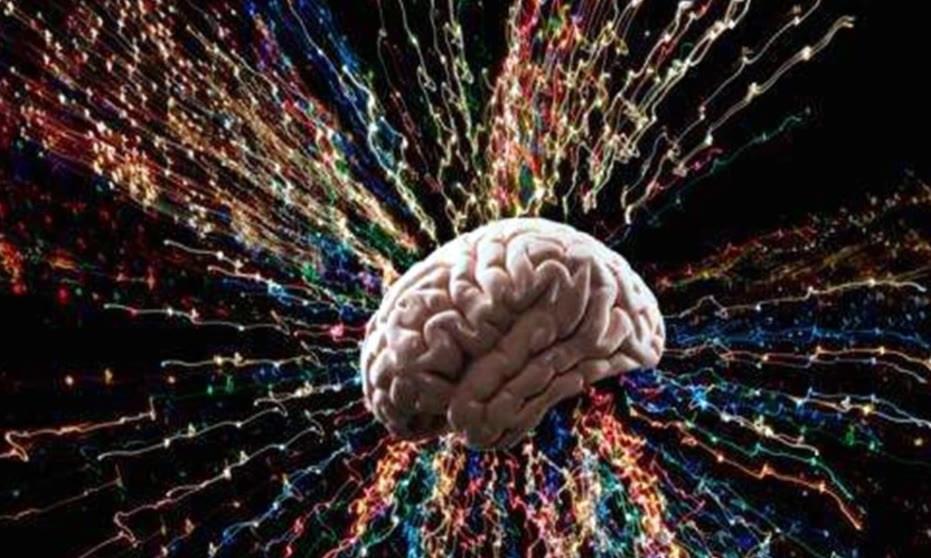 乘梦的小视界|读绘本能促进孩子智力发育？还有一种方式更重要，家长别忽视了