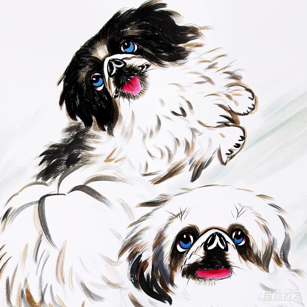 |啥属相的人，未来半年不愁没有发展机会，前途越来越香