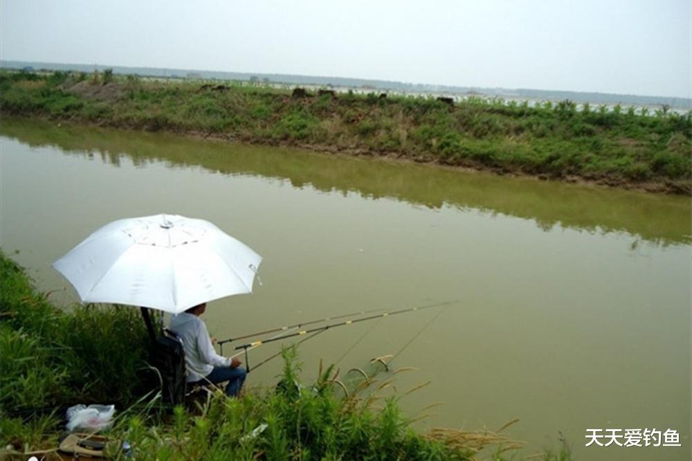 原神|深秋钓鱼，别在这4种钓位下竿，气温走低，这些位置已经没鱼窝