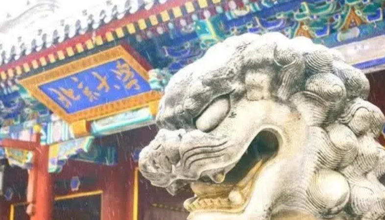 求职|北大女硕士求职遇挫，放弃“北漂”回湖南，为生计学做油漆工