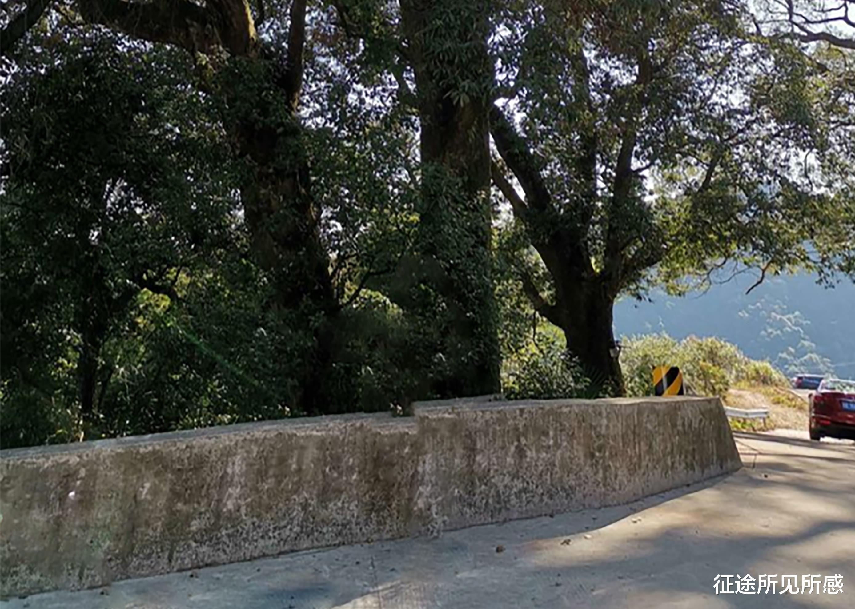 征途所见所感 登顶仙姑峰，圆梦江西乐平市第一高峰