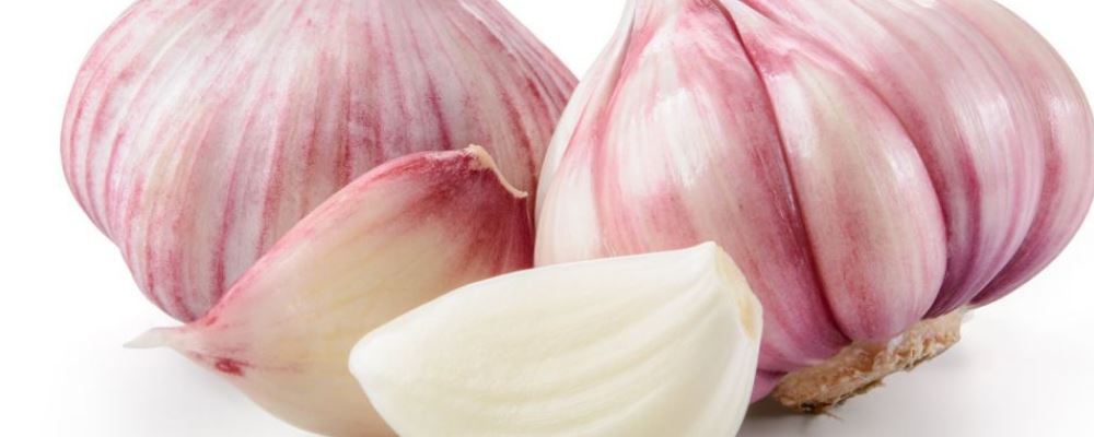 肠炎|免疫力低下容易让人生病 想要防病必须提高免疫力