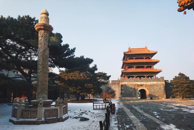 怡此情怡此景 沈阳有一颗树“很牛”，长在5A景区的核心地区，游客看了也佩服