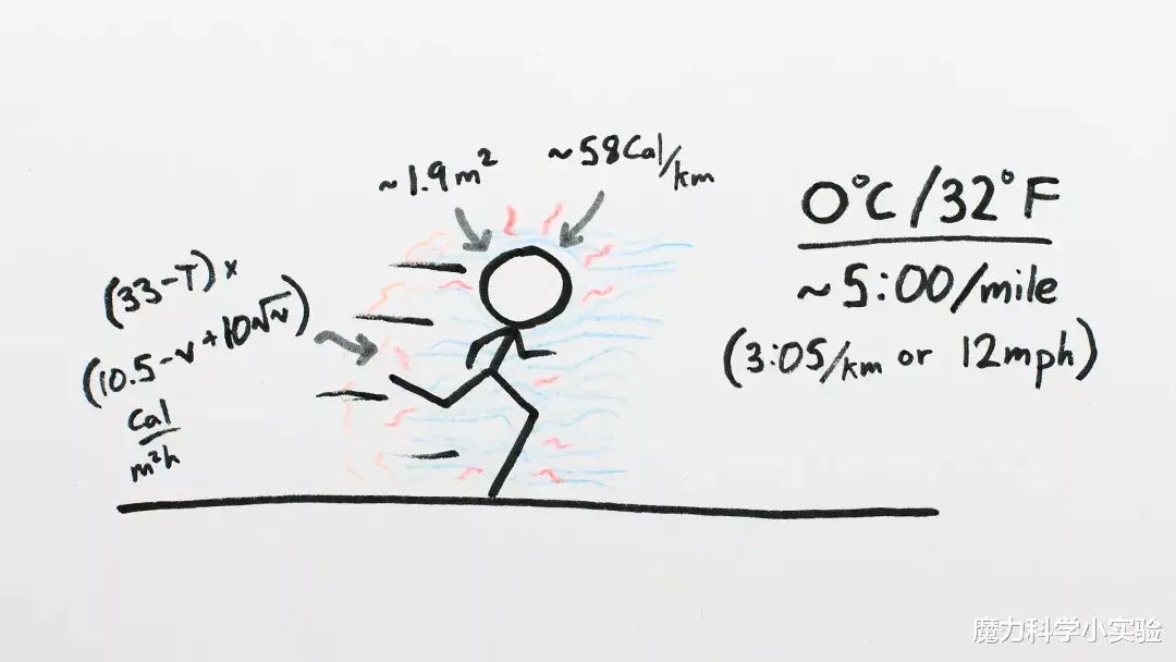 天冷时，待在原地不动、漫步还是狂奔，哪个会更冷？